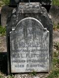 image of grave number 887112
